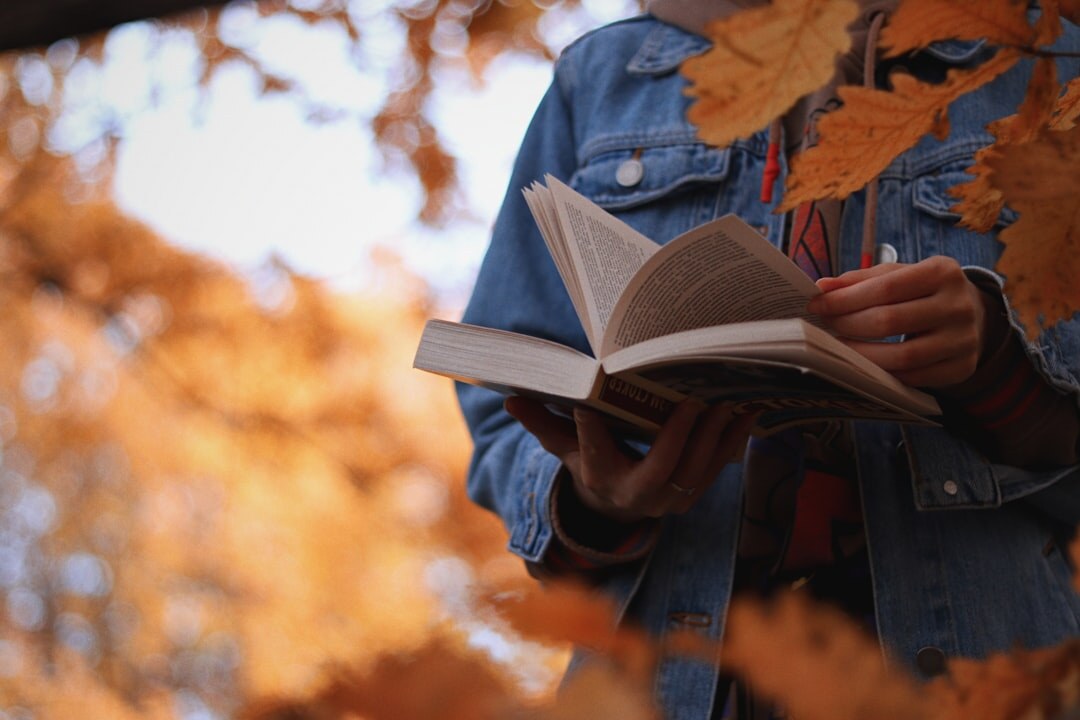 person reading thriller book